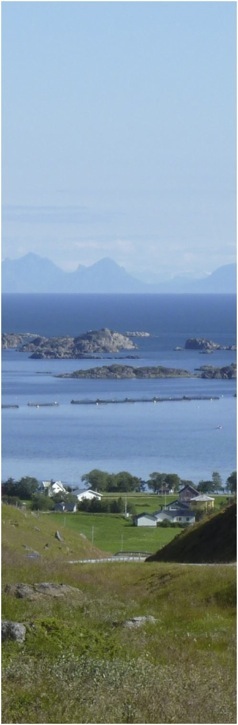 Lofotes Foto A.A.Bispo 2012 ©