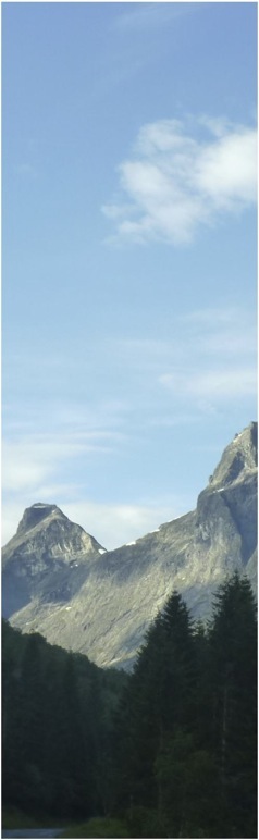 Trollstigen. Foto A.A.Bispo 2012 ©